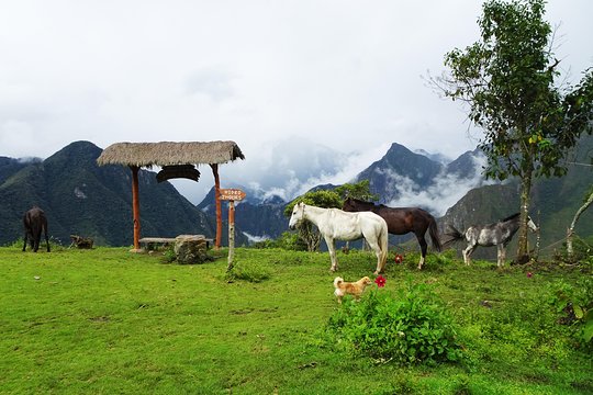 Tour image 5