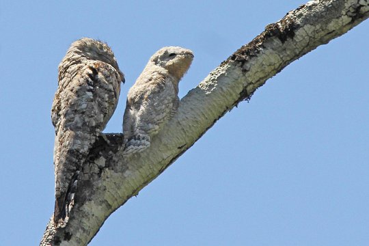 Tour image 5