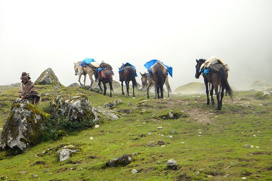 Tour image 7
