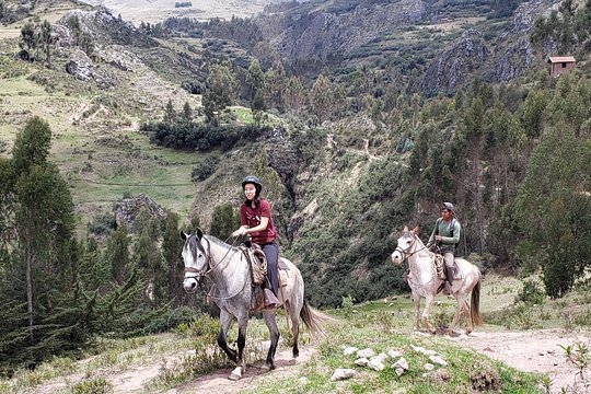 Tour image 4