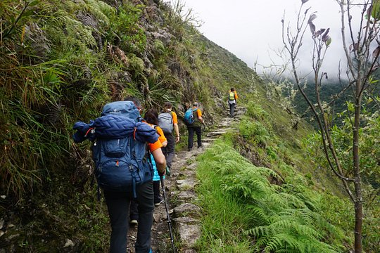 Tour image 1