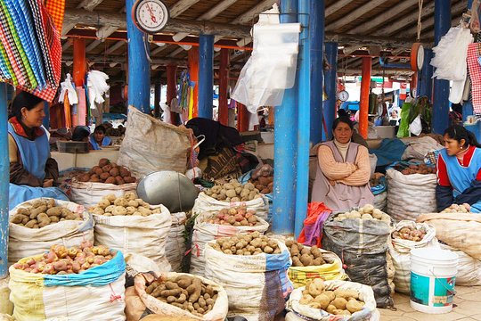 Tour image 5