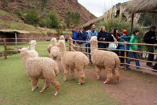 Tour image 6