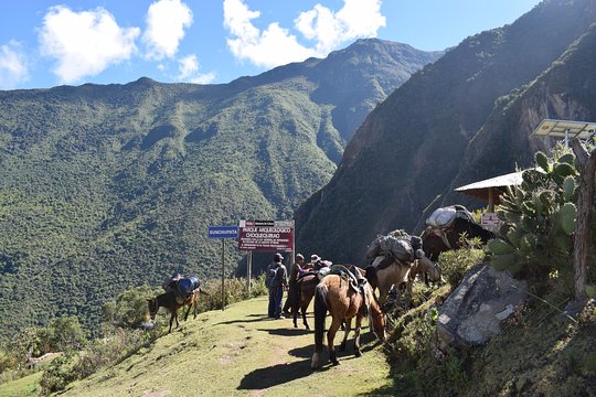 Tour image 2