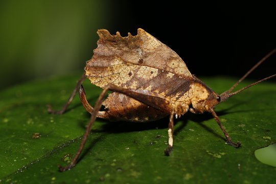Tour image 11