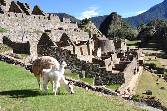 Tour image 6