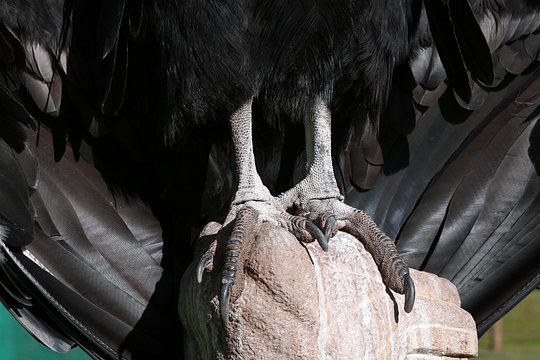 Tour image 1