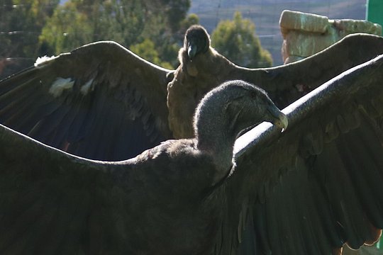 Tour image 3