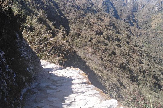 Tour image 7
