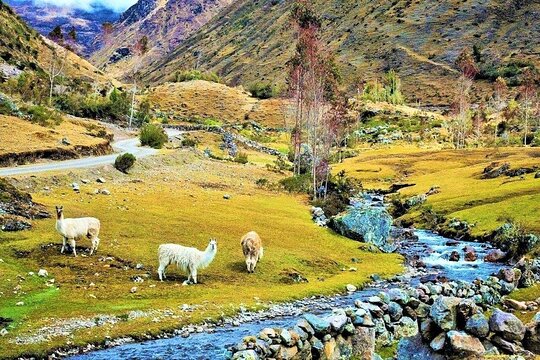 Tour image 11
