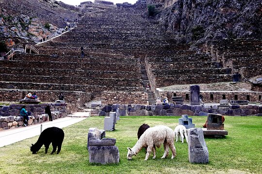 Tour image 4