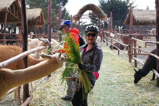 Tour image 6