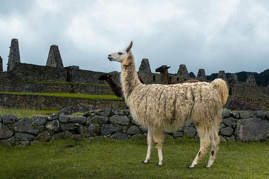 Tour image 9