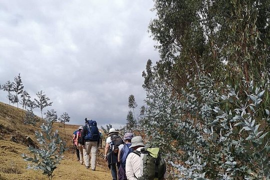 Tour image 10
