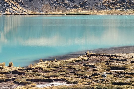 Tour image 5